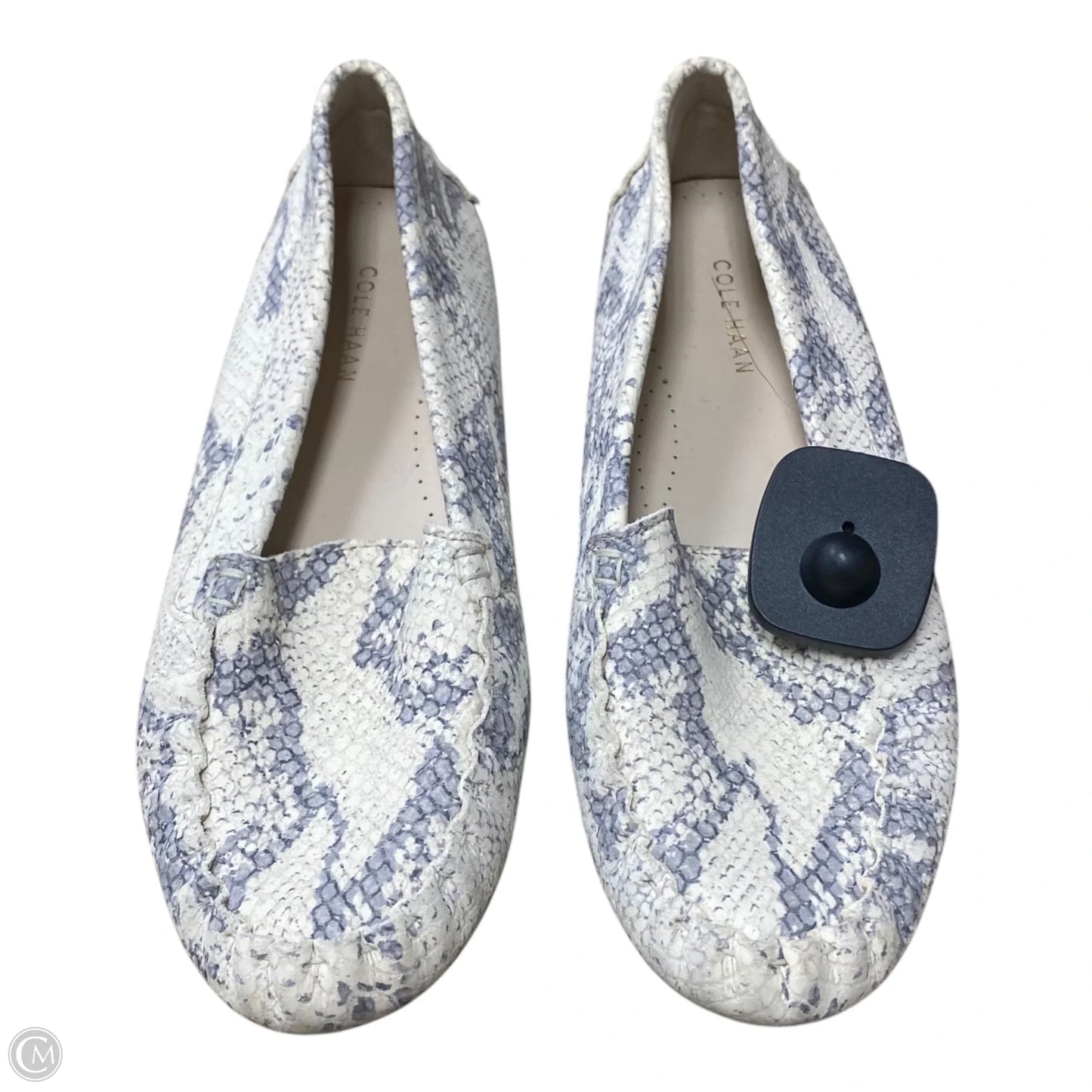 Shoes Flats By Cole-haan In Snakeskin Print, Size: 6.5