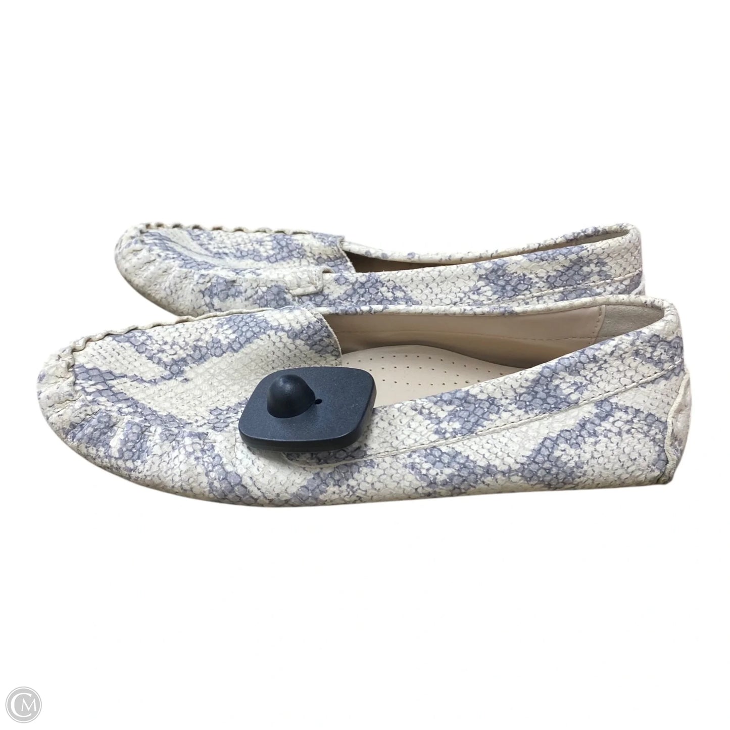 Shoes Flats By Cole-haan In Snakeskin Print, Size: 6.5