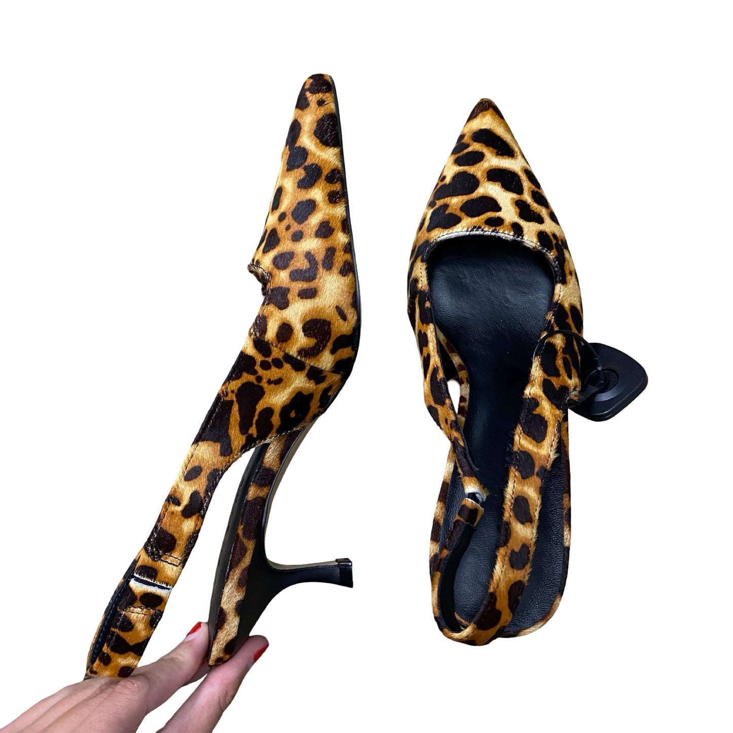 Shoes Heels Kitten By Yosi Samra In Animal Print, Size:9.5