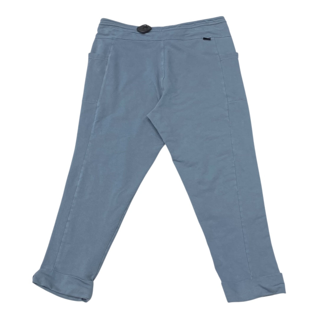 Athletic Pants By Patagonia In Blue, Size:L
