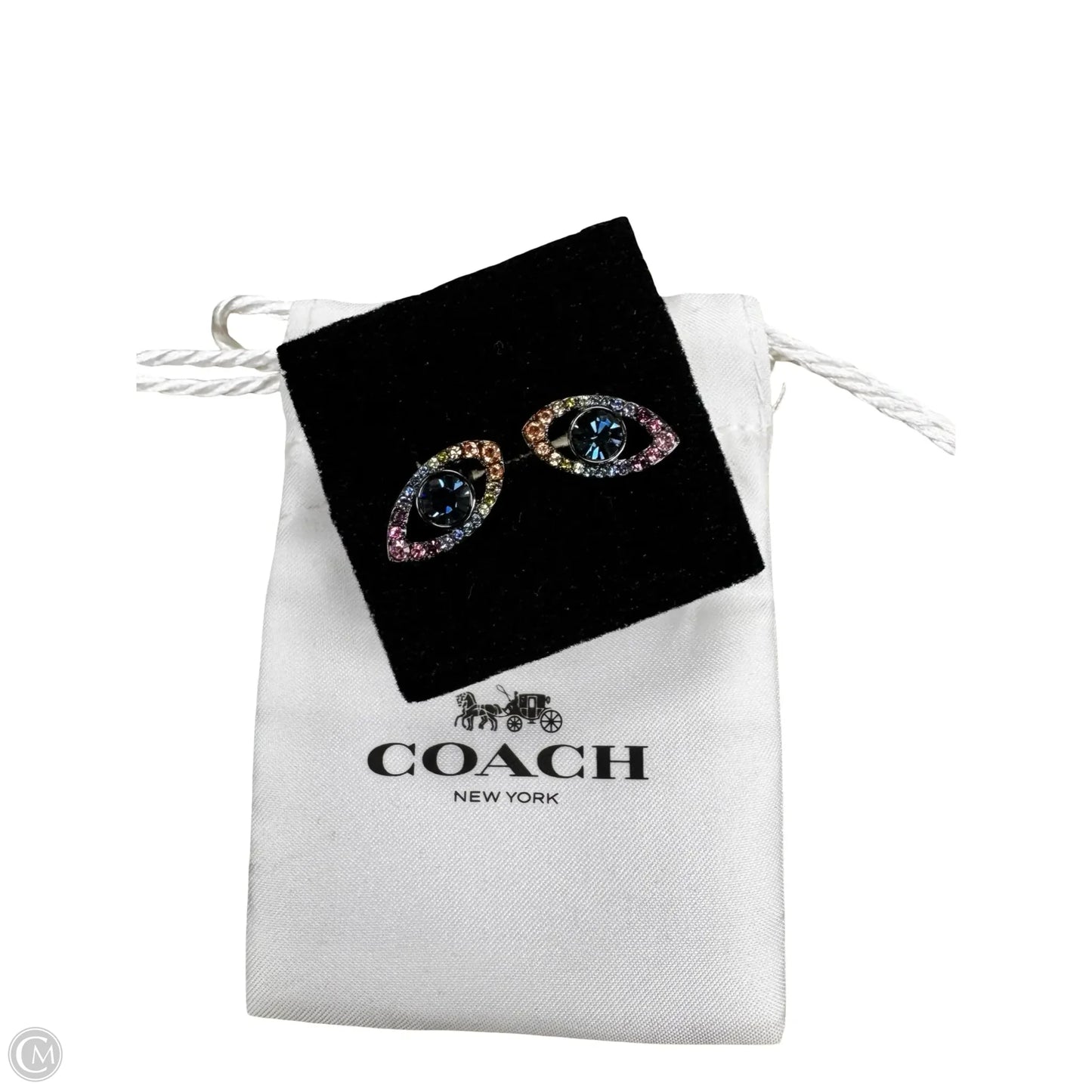 Earrings Designer By Coach