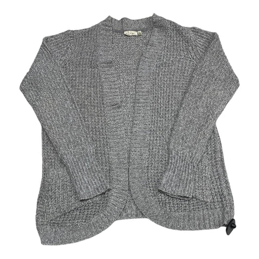 Sweater Cardigan By Rd Style In Grey, Size: L