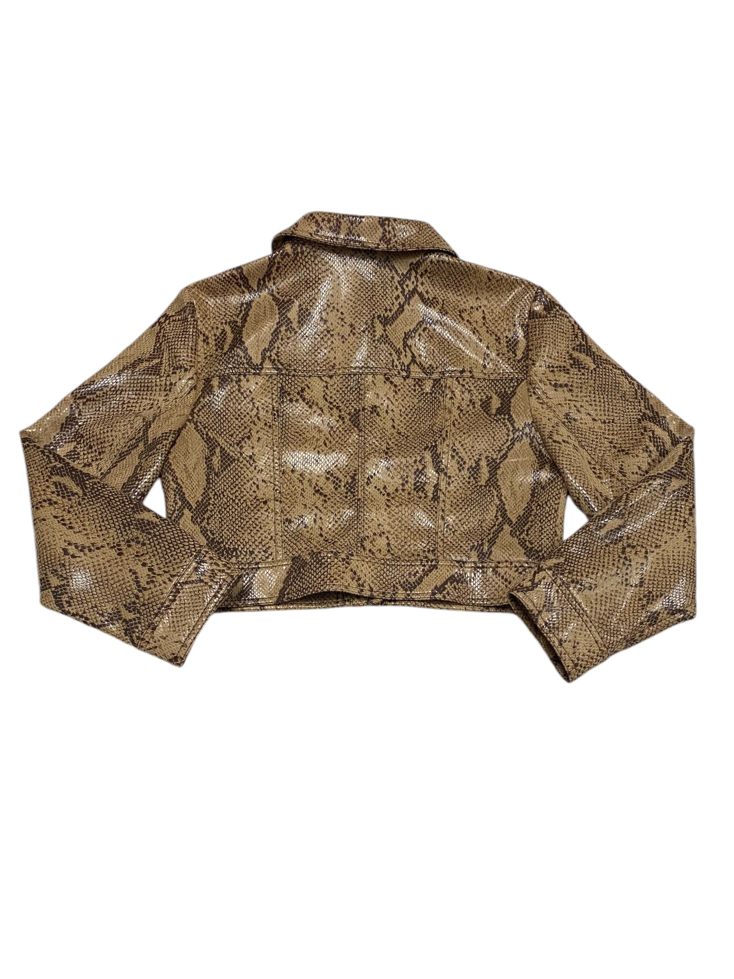 Jacket Moto By Current Air In Snakeskin Print, Size: Sp