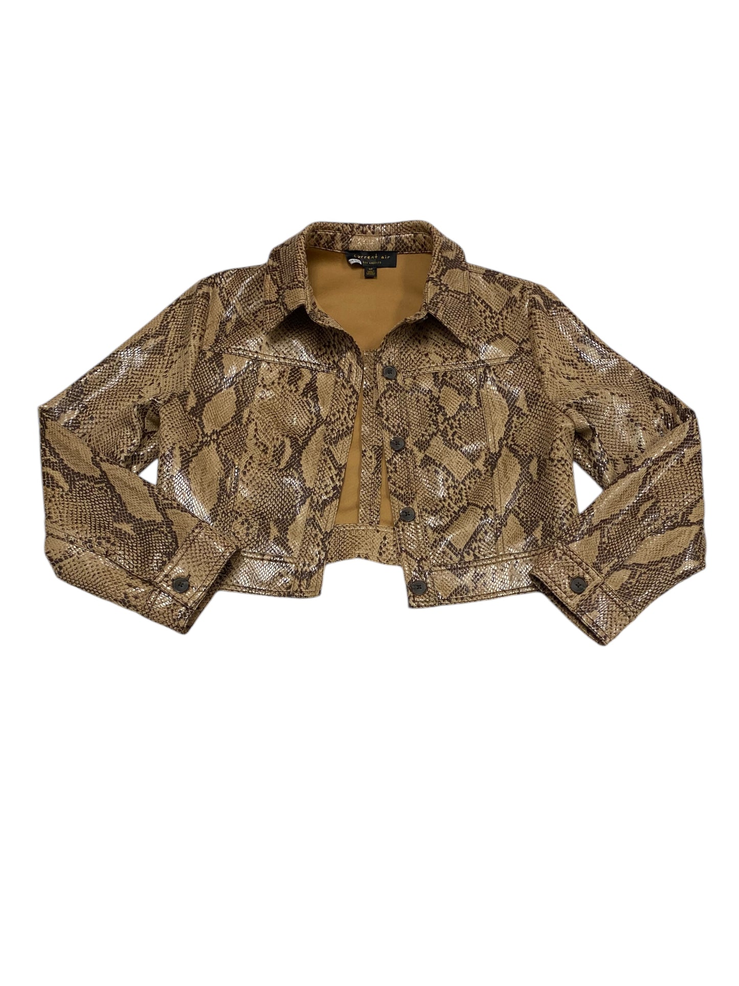 Jacket Moto By Current Air In Snakeskin Print, Size: Sp