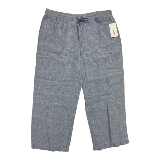 Pants By Athleta In Blue, Size: 3x