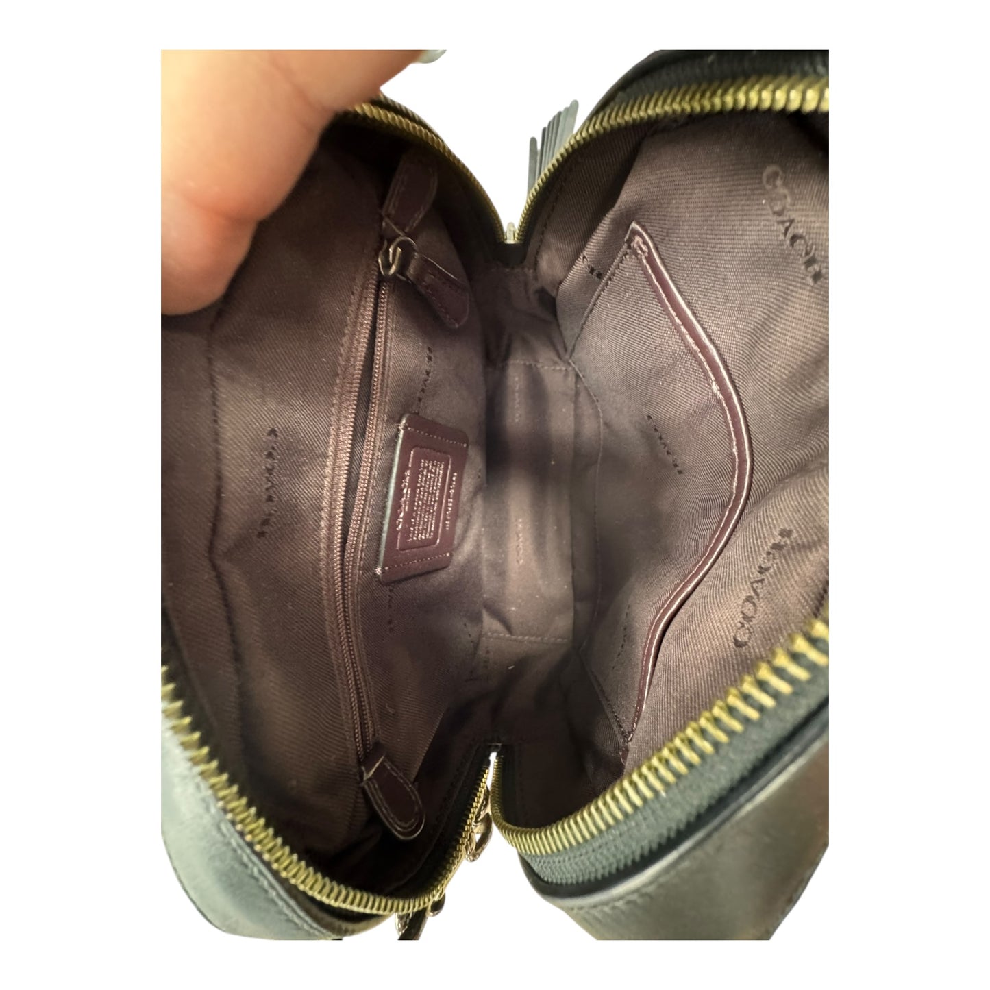 Handbag Designer By Coach In Black, Size:Medium