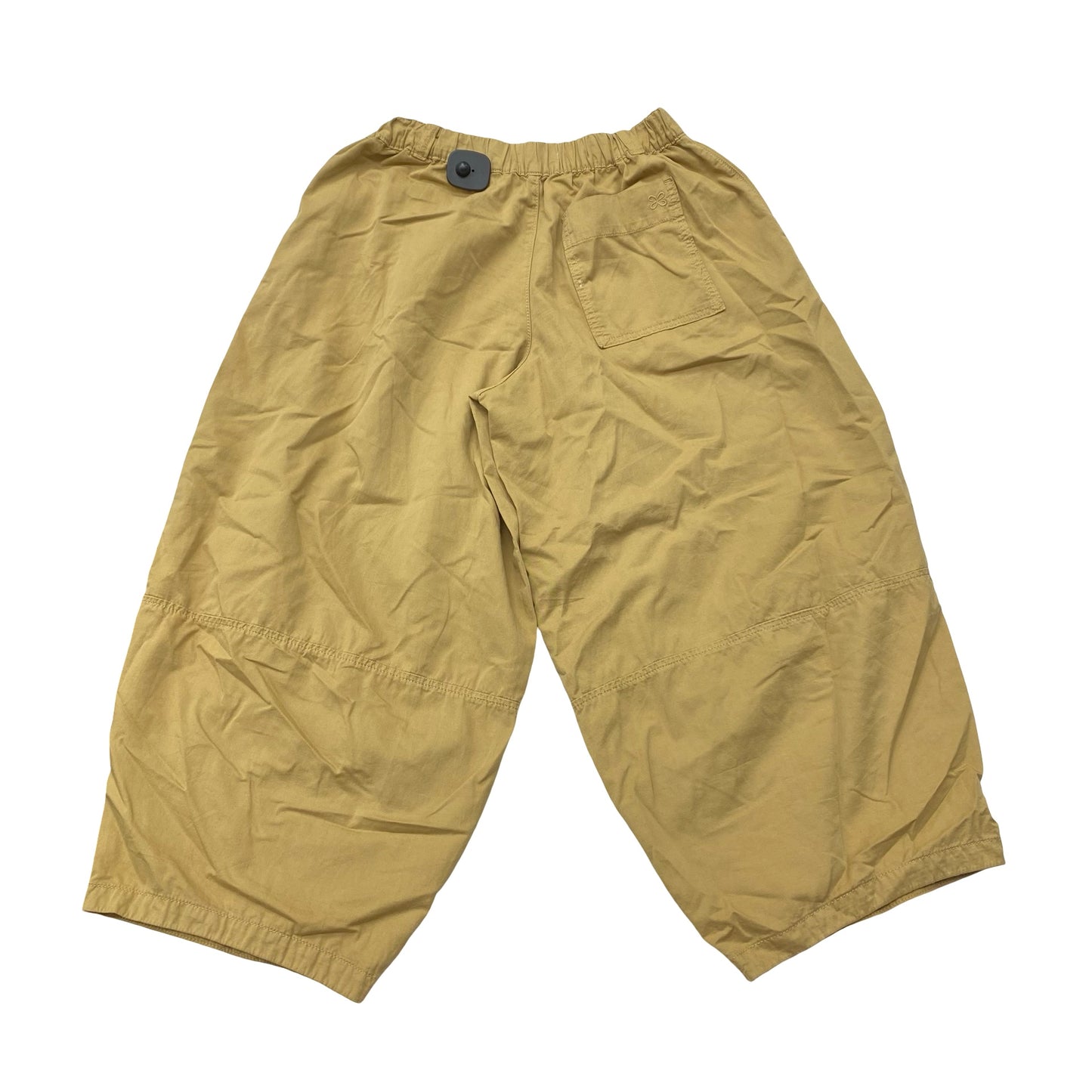Pants Chinos & Khakis By Maeve In Brown, Size:Xs