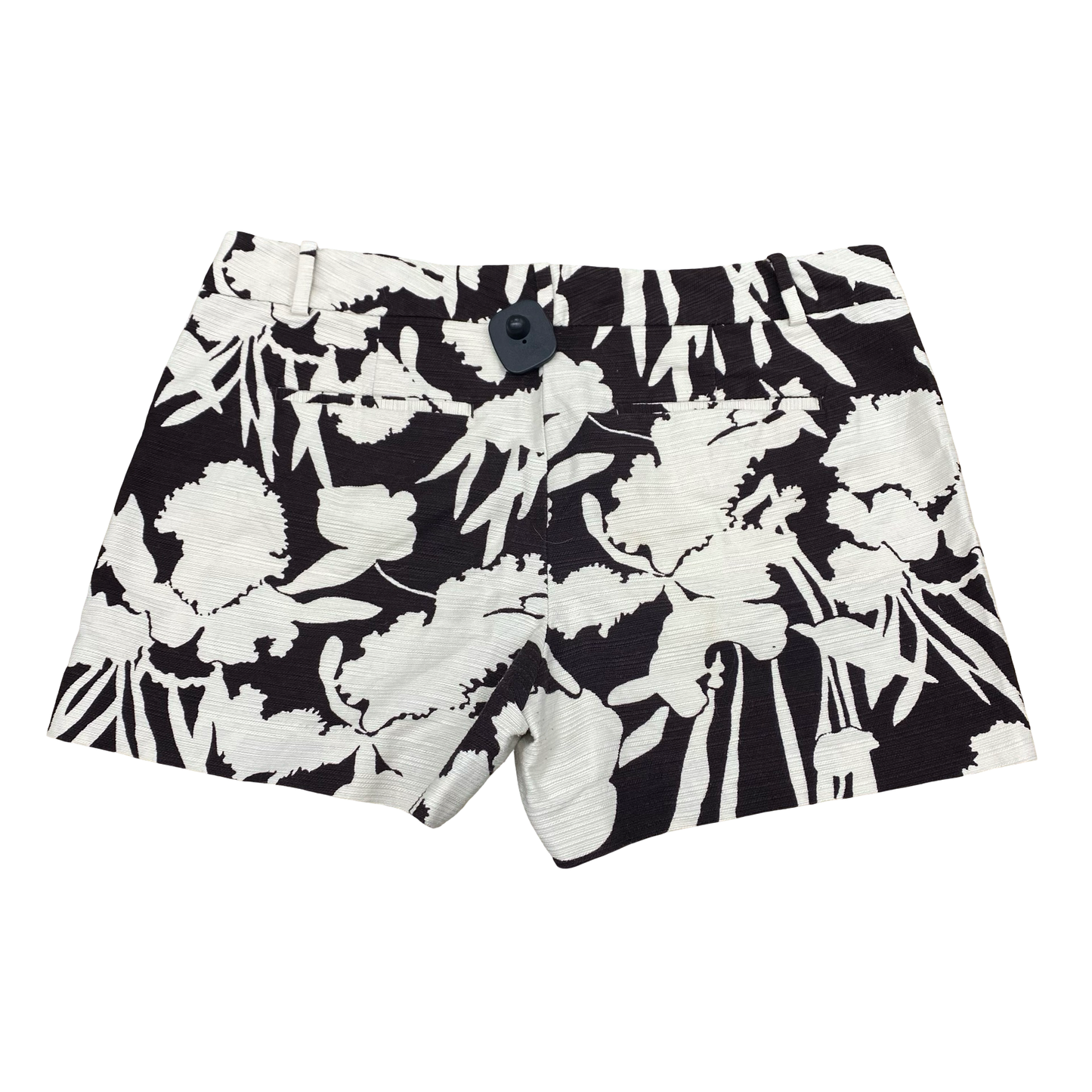 Shorts By Ann Taylor In Brown & Cream, Size:14