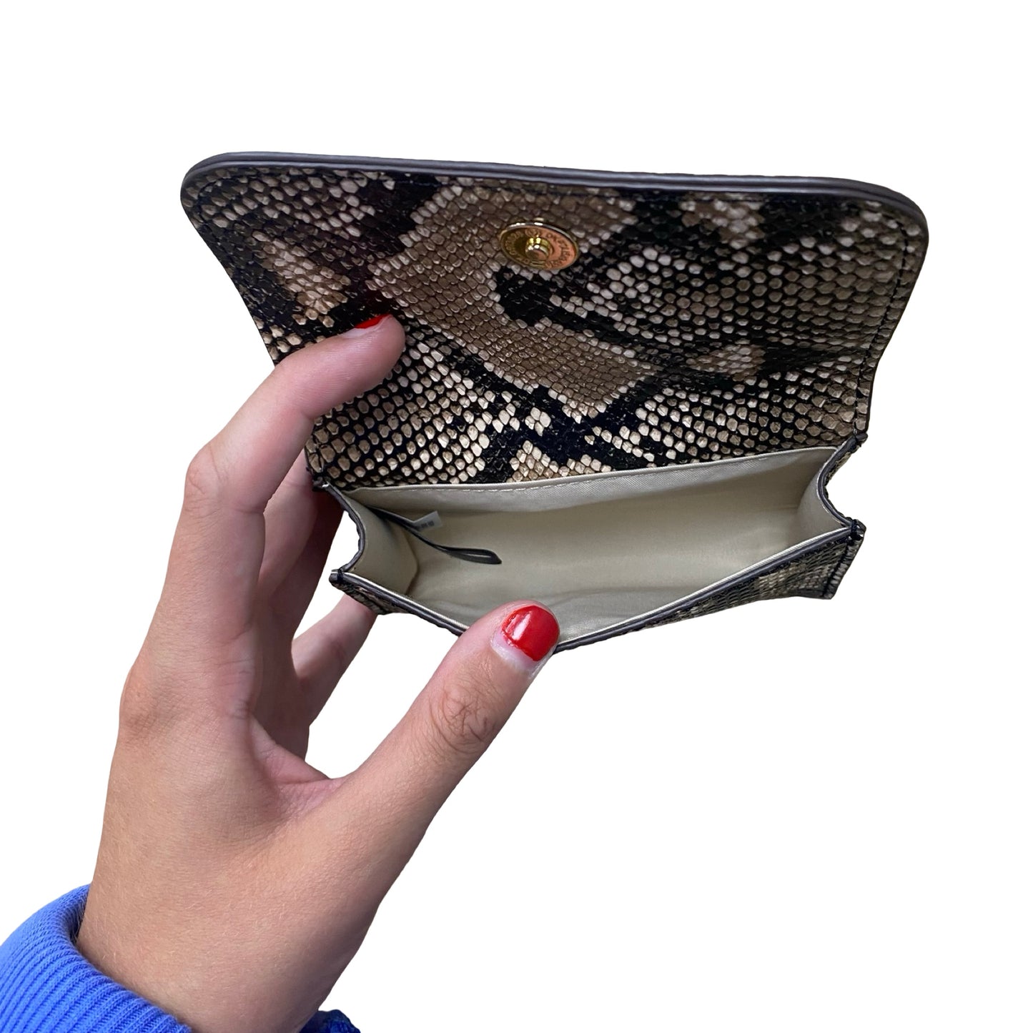 Wallet By Cmc In Snakeskin Print, Size:Small