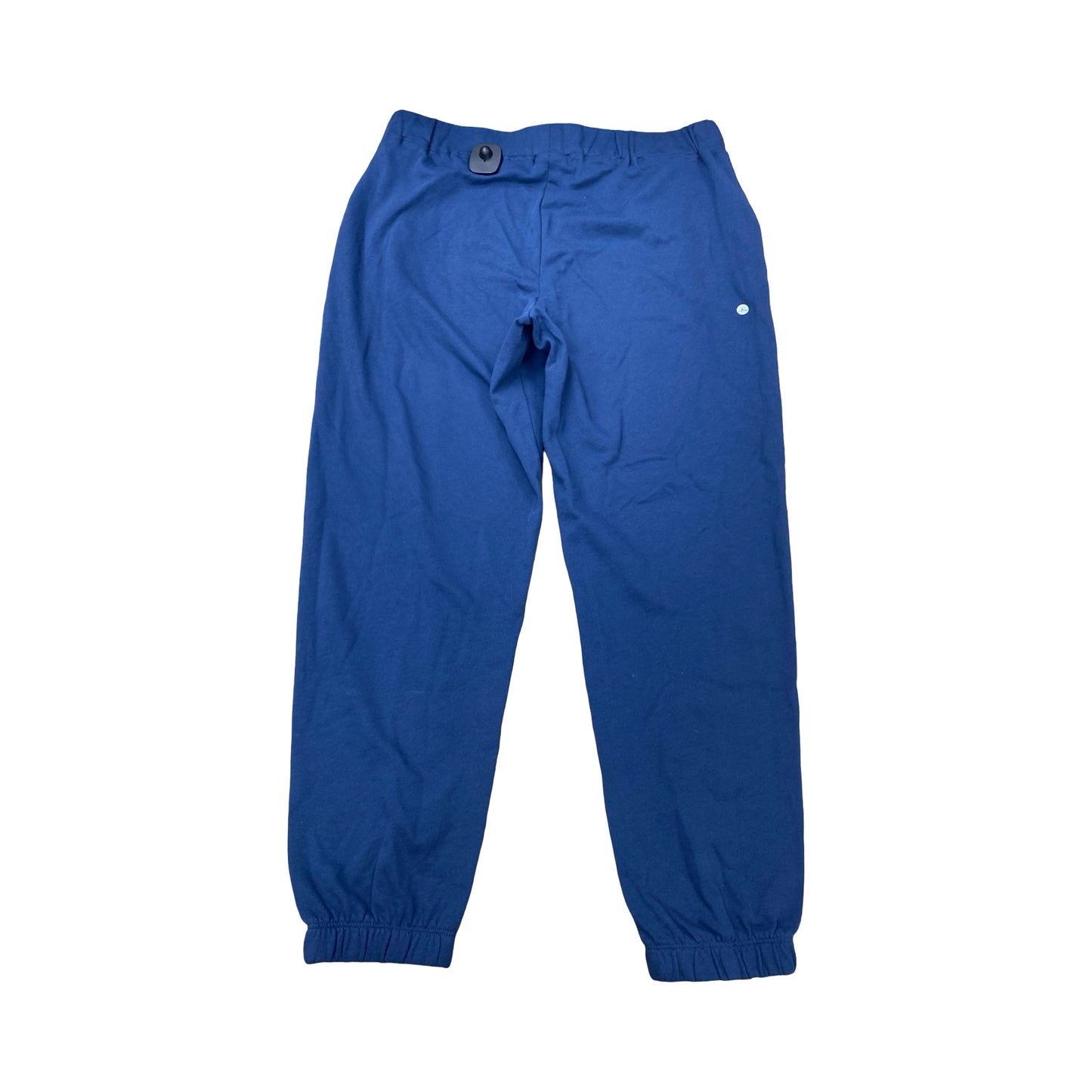 Pants Joggers By Eddie Bauer In Blue, Size:L