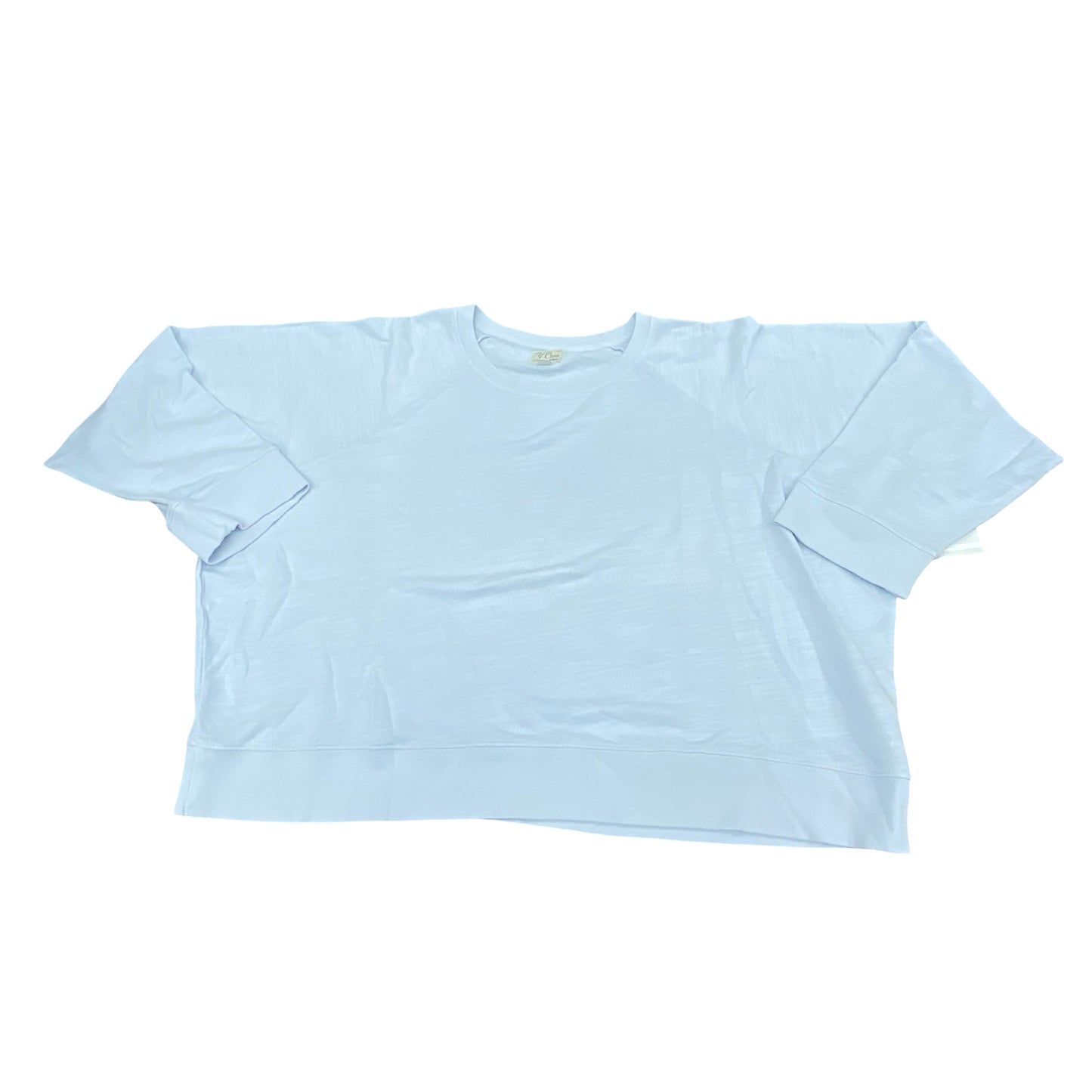Sweatshirt Crewneck By J. Crew In Blue, Size:3X