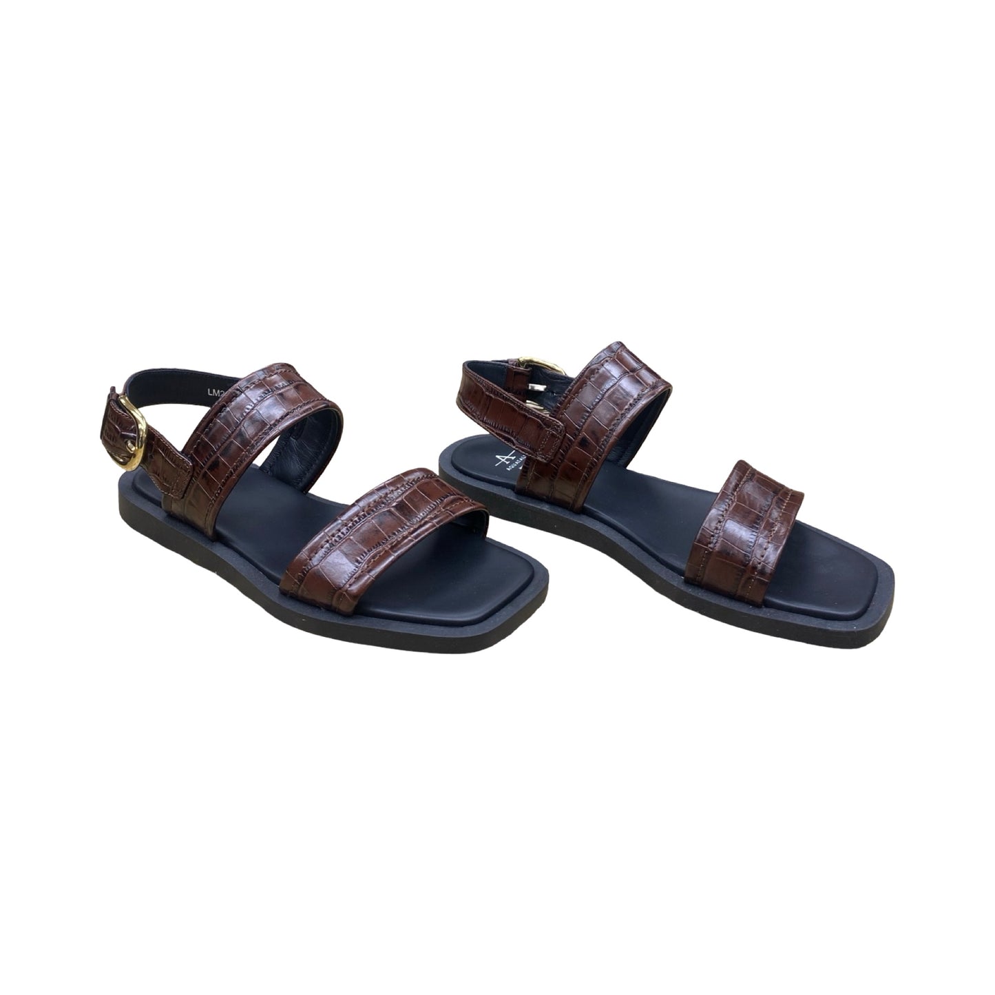 Sandals Flats By Aquatalia In Brown, Size:9