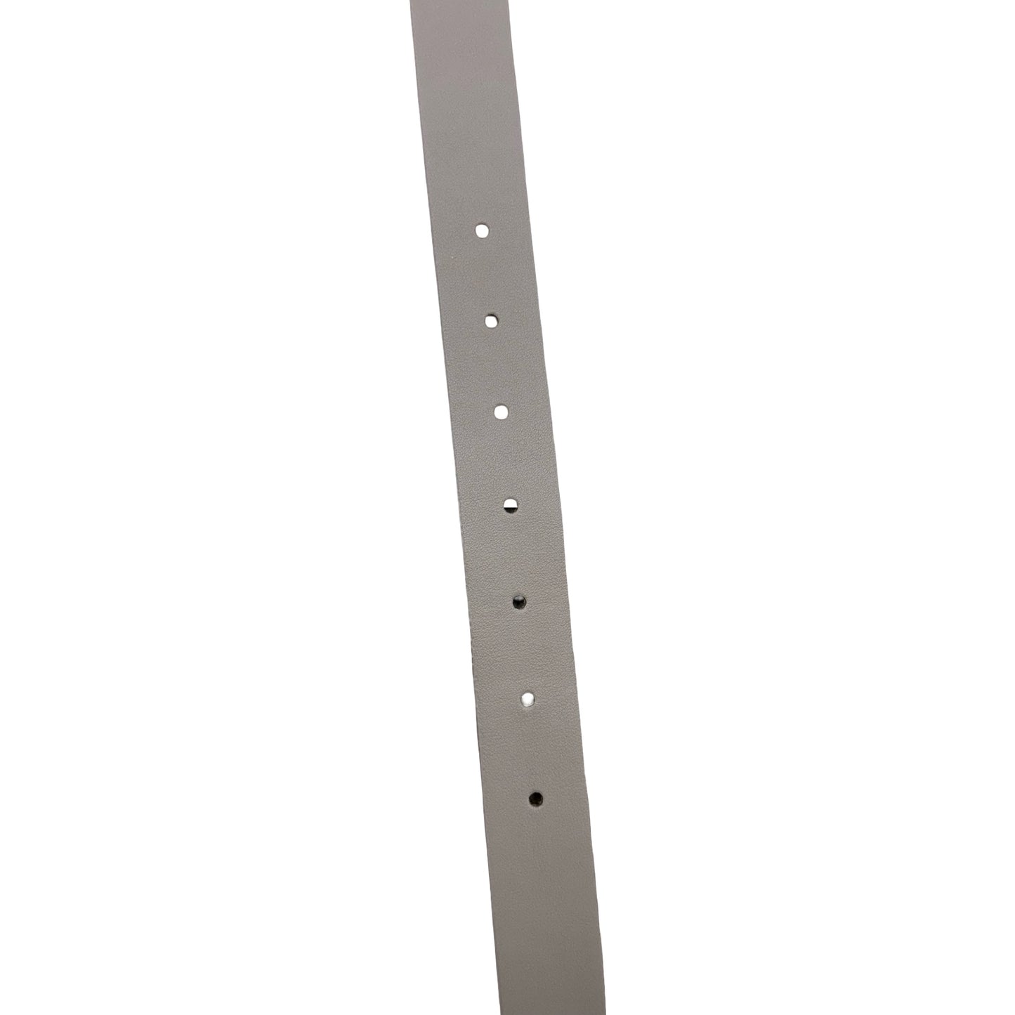 Belt By Vince Camuto In Taupe, Size:Xlarge