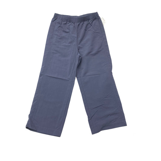 Athletic Pants By Patagonia In Grey, Size:M