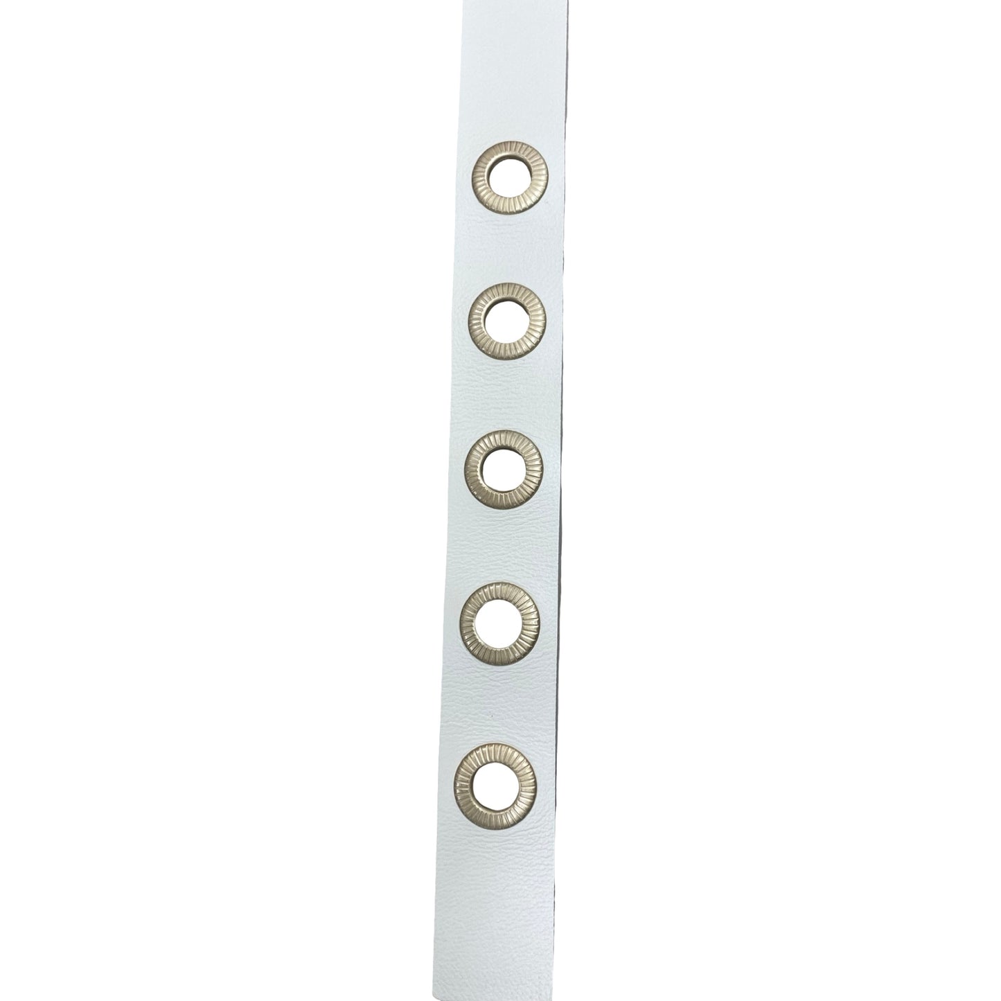Belt Designer By All Saints In Cream, Size:Xlarge