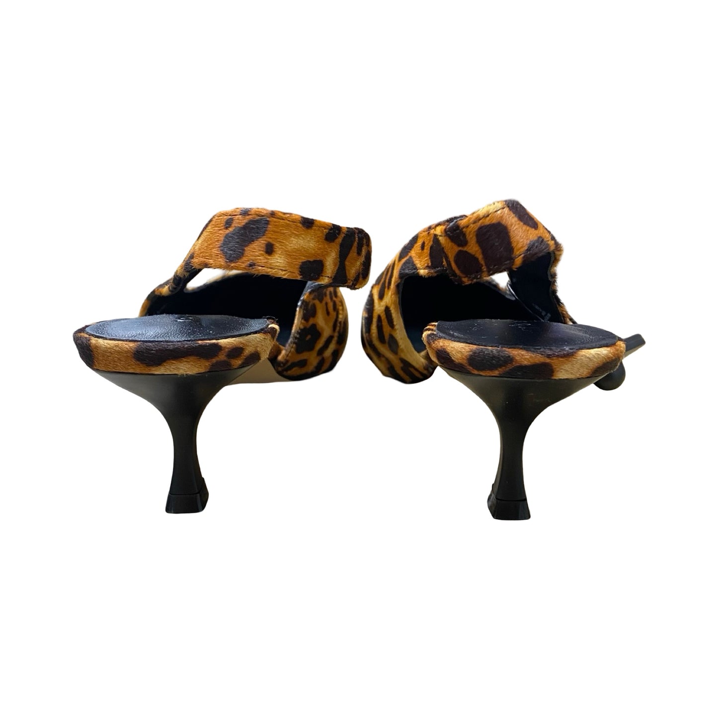 Shoes Heels Kitten By Yosi Samra In Animal Print, Size:9.5