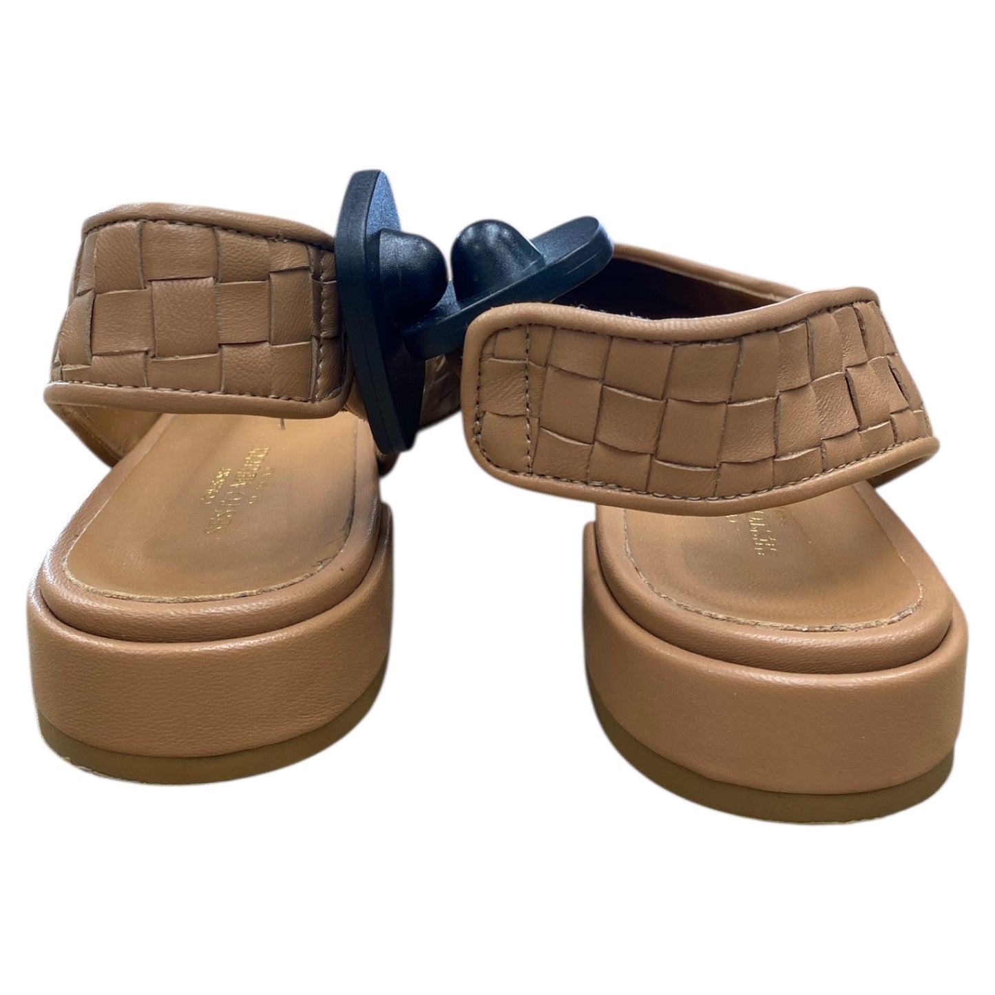 Shoes Flats By Sesto Meucci In Brown, Size:9