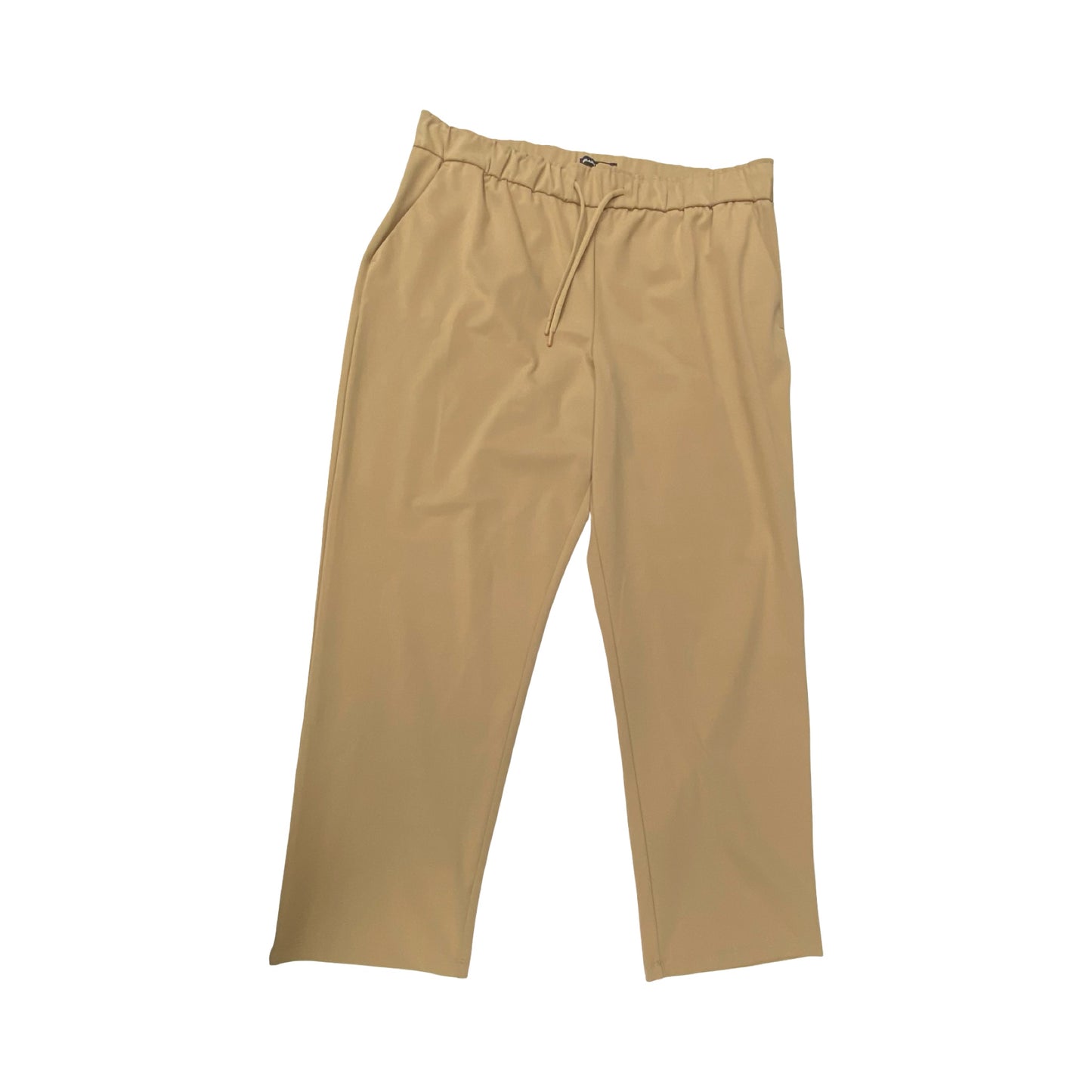 Pants Other By Hilary Radley In Brown, Size:Xl