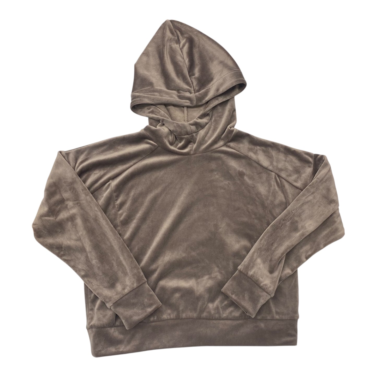 Sweatshirt Hoodie By Evereve In Brown, Size:L