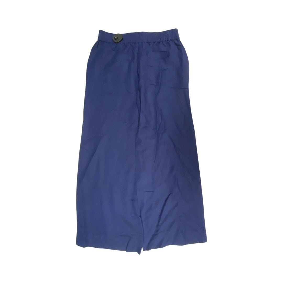 Pants Wide Leg By Evereve In Navy, Size:M